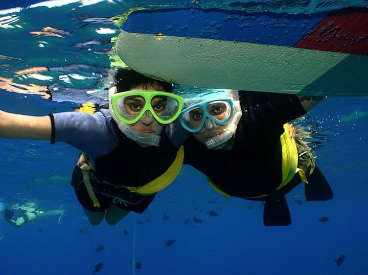 Best Snorkeling at Kahaluu Beach Park Kona
