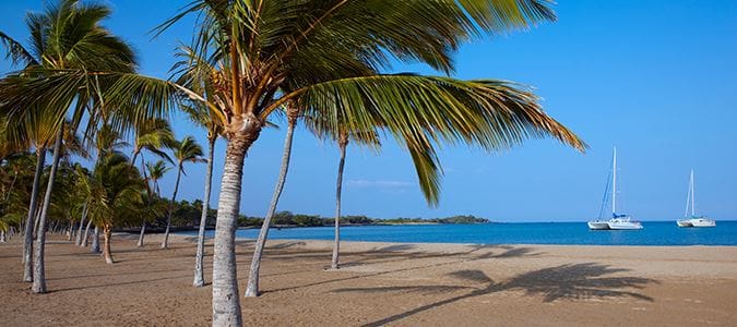 A large cruise ship sailing in the ocean.