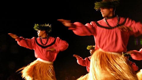 Hula dancers gracefully perform traditional dances at the Hawaii State Fair, showcasing vibrant costumes and cultural heritage.