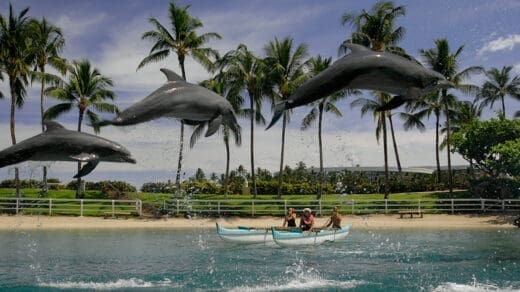 big-island-northwest shore