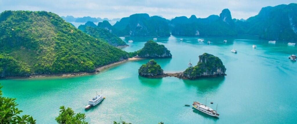 south-pacific-cruises