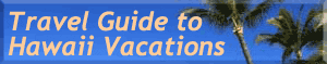 A banner for a travel guide to hawaii vacations with a palm tree graphic.