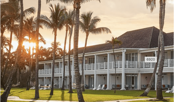 A large cruise ship sailing in the ocean.
