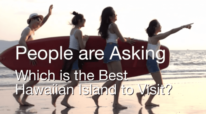 A large cruise ship sailing in the ocean.