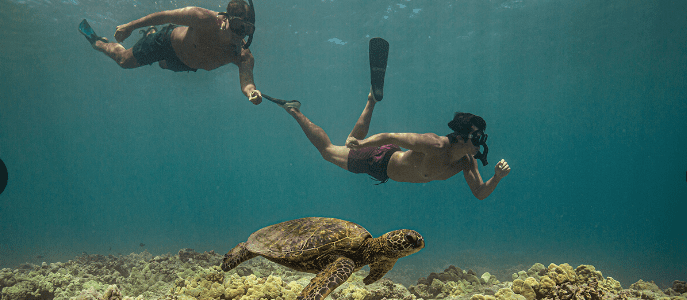 big-island-fbest-snorkeling