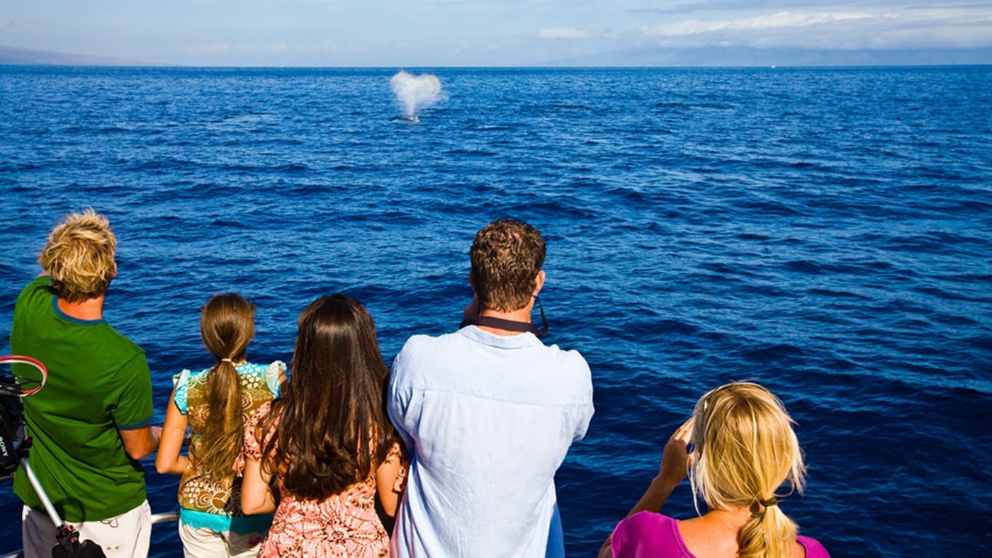 Hawaii Vacation Planner